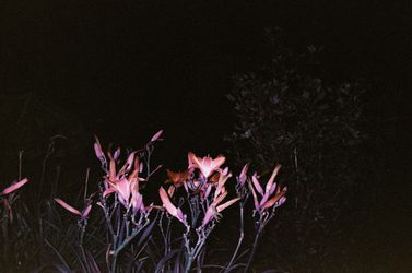Fragments 3