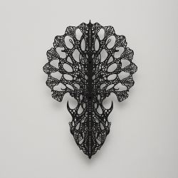 Umbra xenos 1