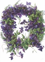 Royal Herbs