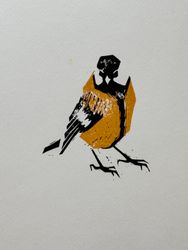 Titmouse