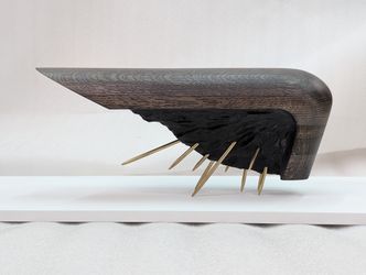 Insect