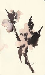 Fleurs