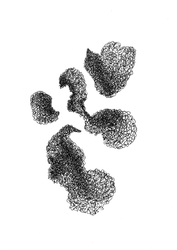 20210430 <4>