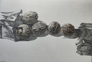 Орехи