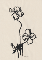 Encre et fleurs 03