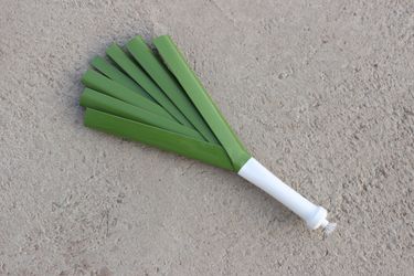 leek