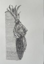 Кукуруза