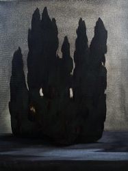 Кипарисы