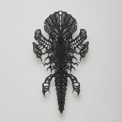 Umbra xenos 2