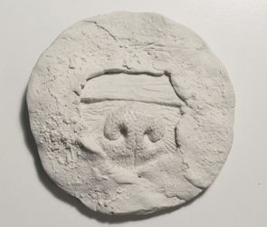 Запах