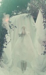 Shiver