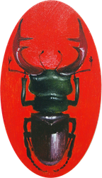 Жук II