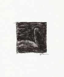 Swans 02