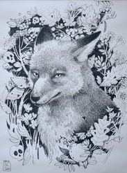 Лис