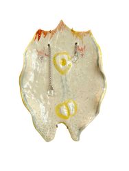 Manta Ray