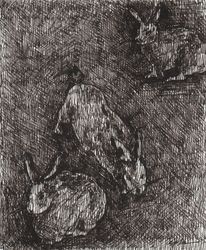 Bunnies