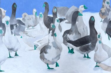 Гости