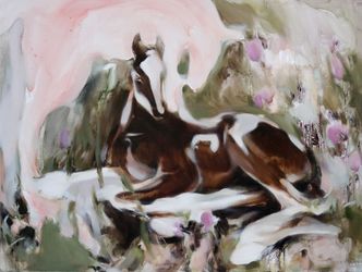 Horse Dream