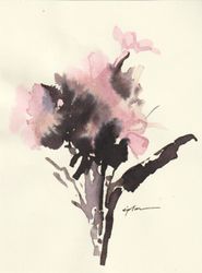 Phlox