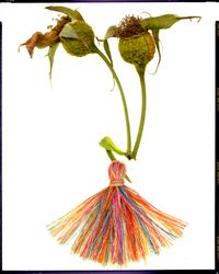Stilllife, opus 314
