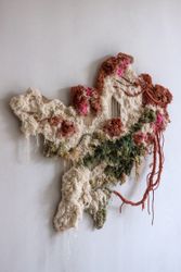 Метасукцессия