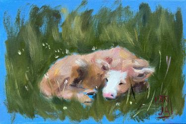 Meadow Nap