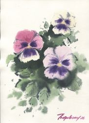 Виолы
