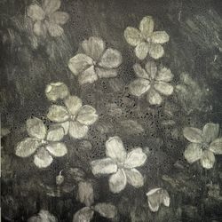 Василистник