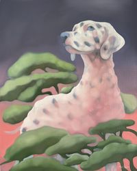 Далматинец 1