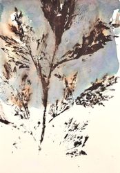 ТРАВЫ №13. HERBS NO. 13