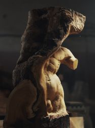 Torso