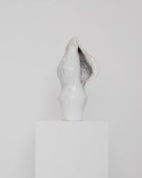 Molluska 10'