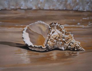 Shell
