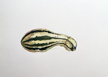 Полосатая тыква