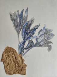 Крокусы