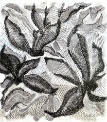 Линии
