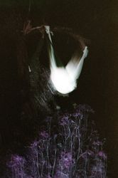 Fragments 1