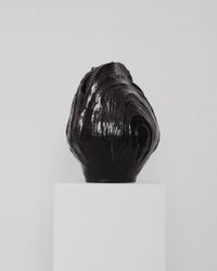 Molluska 5'