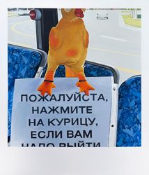 Пожалуйста, нажмите на курицу