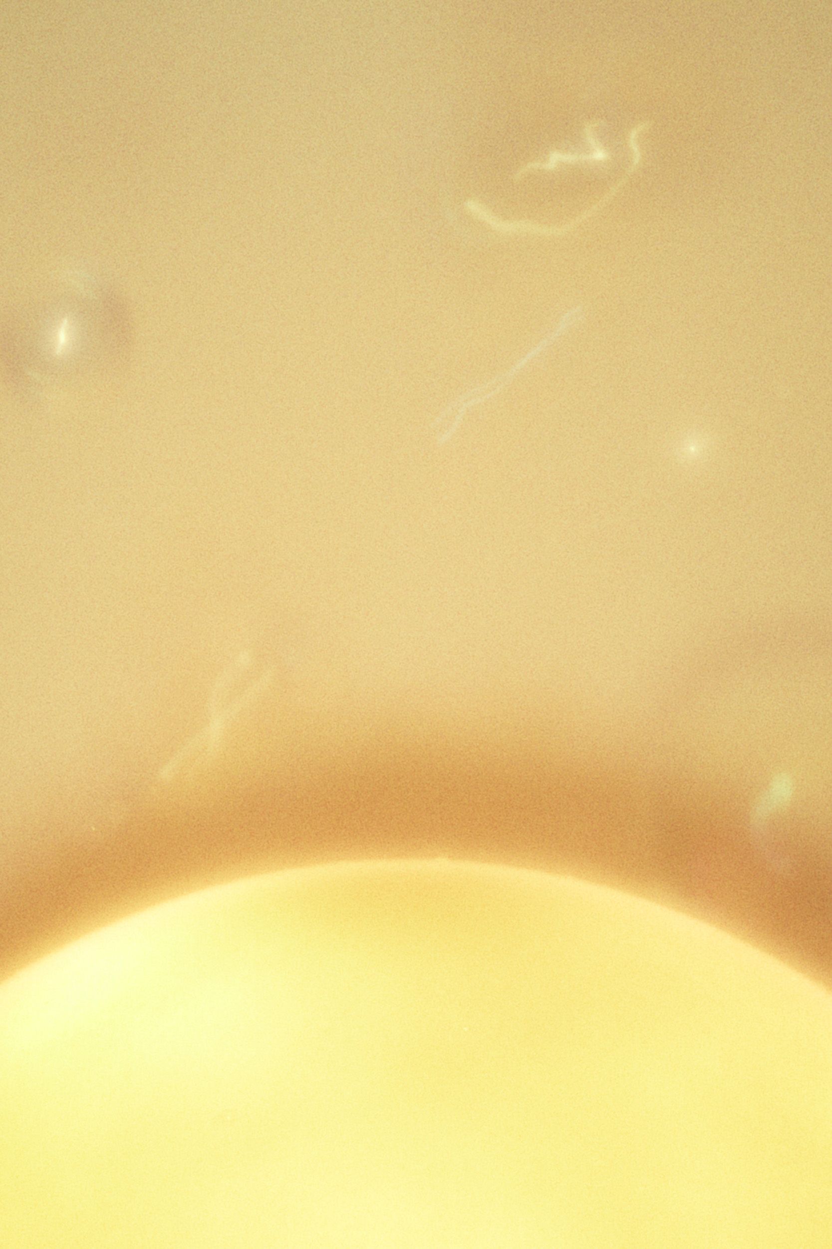 Анна Конушкина (Фотография - 
                  60 x 90 см) Time #1