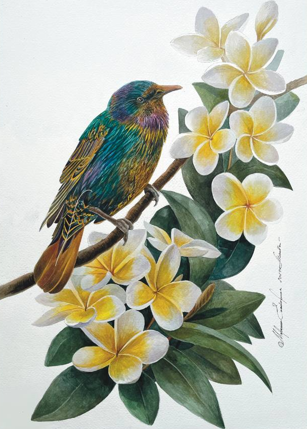Екатерина Маркина (Авторская графика - 
                  35 x 50 см) Гавайские цветы