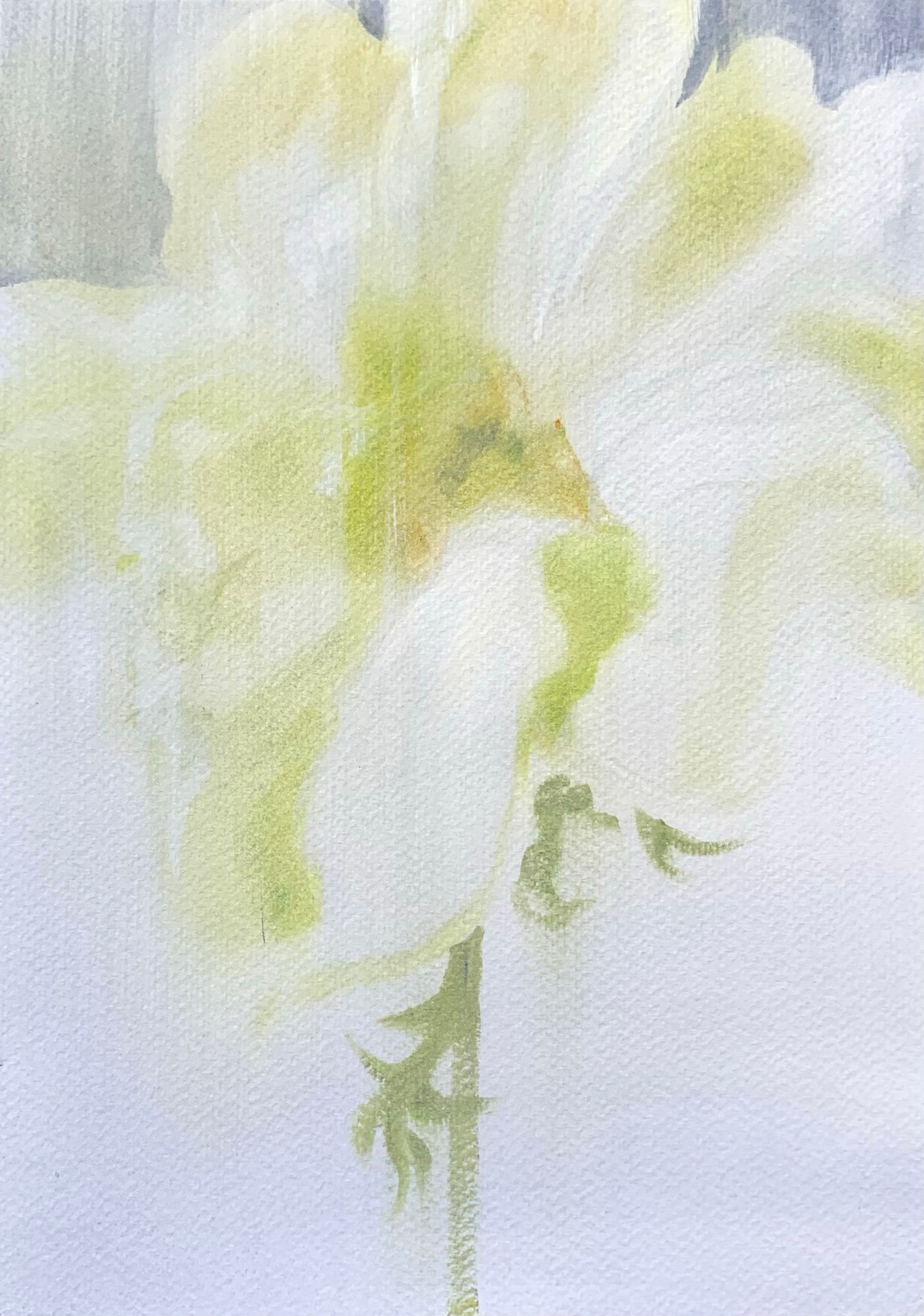 Ульяна Соловей (Авторская графика - 
                  30 x 40 см) Лист / анемон II