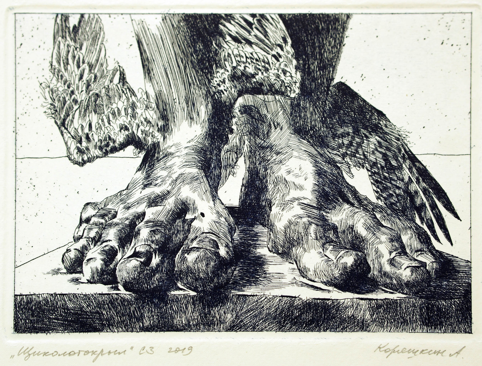Александр Коряшкин (Графика печатная - 
                  13 x 11 см) Щиколотокрыл