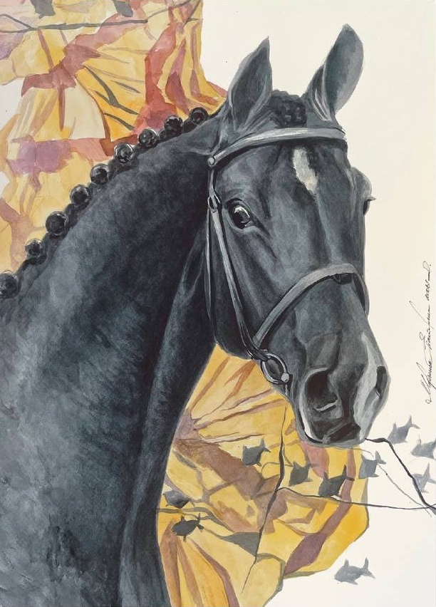 Екатерина Маркина (Авторская графика - 
                  35 x 50 см) Черная лошадь