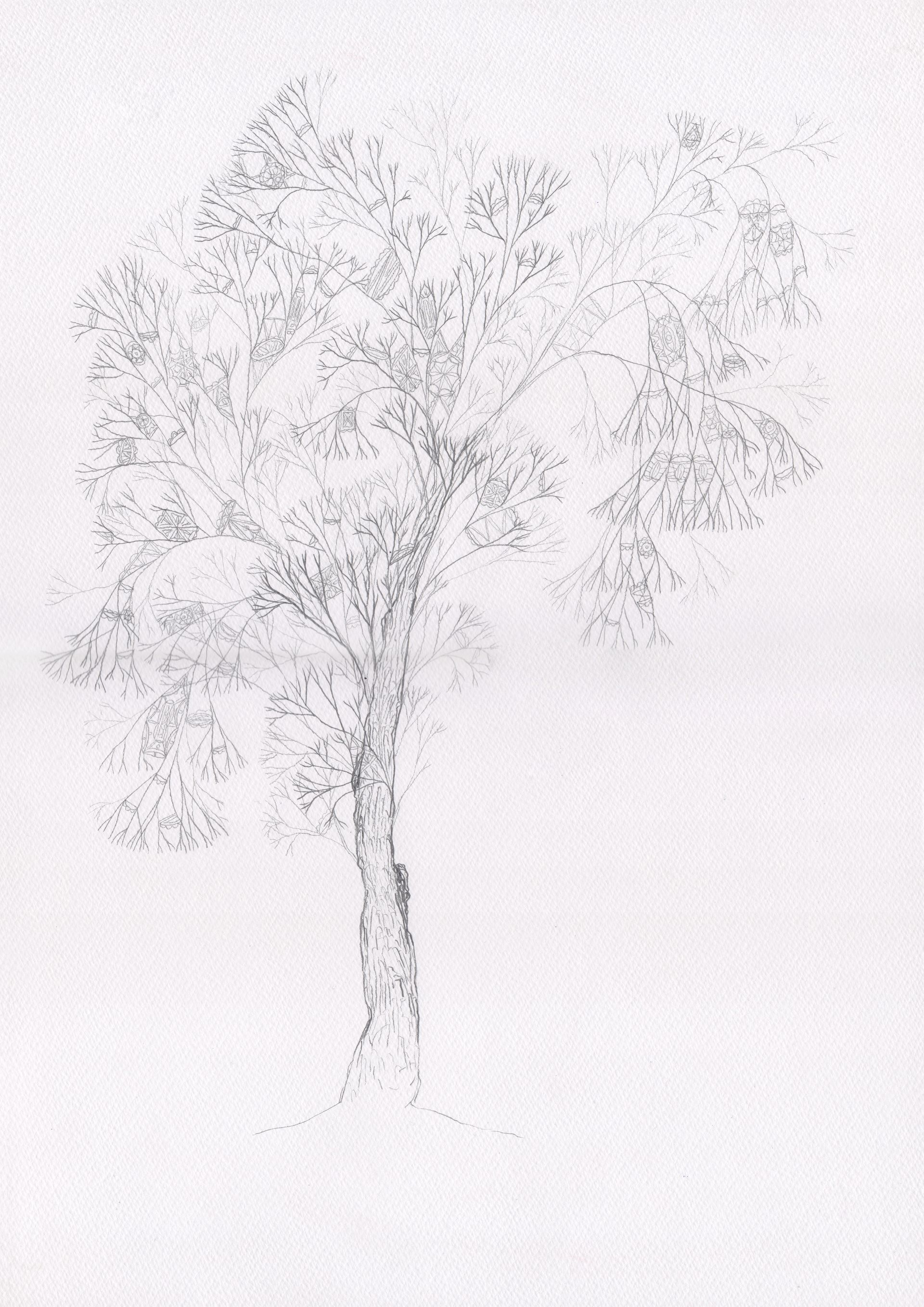 Оля Душкина (Авторская графика - 
                  29.7 x 42 см) Алматинское дерево