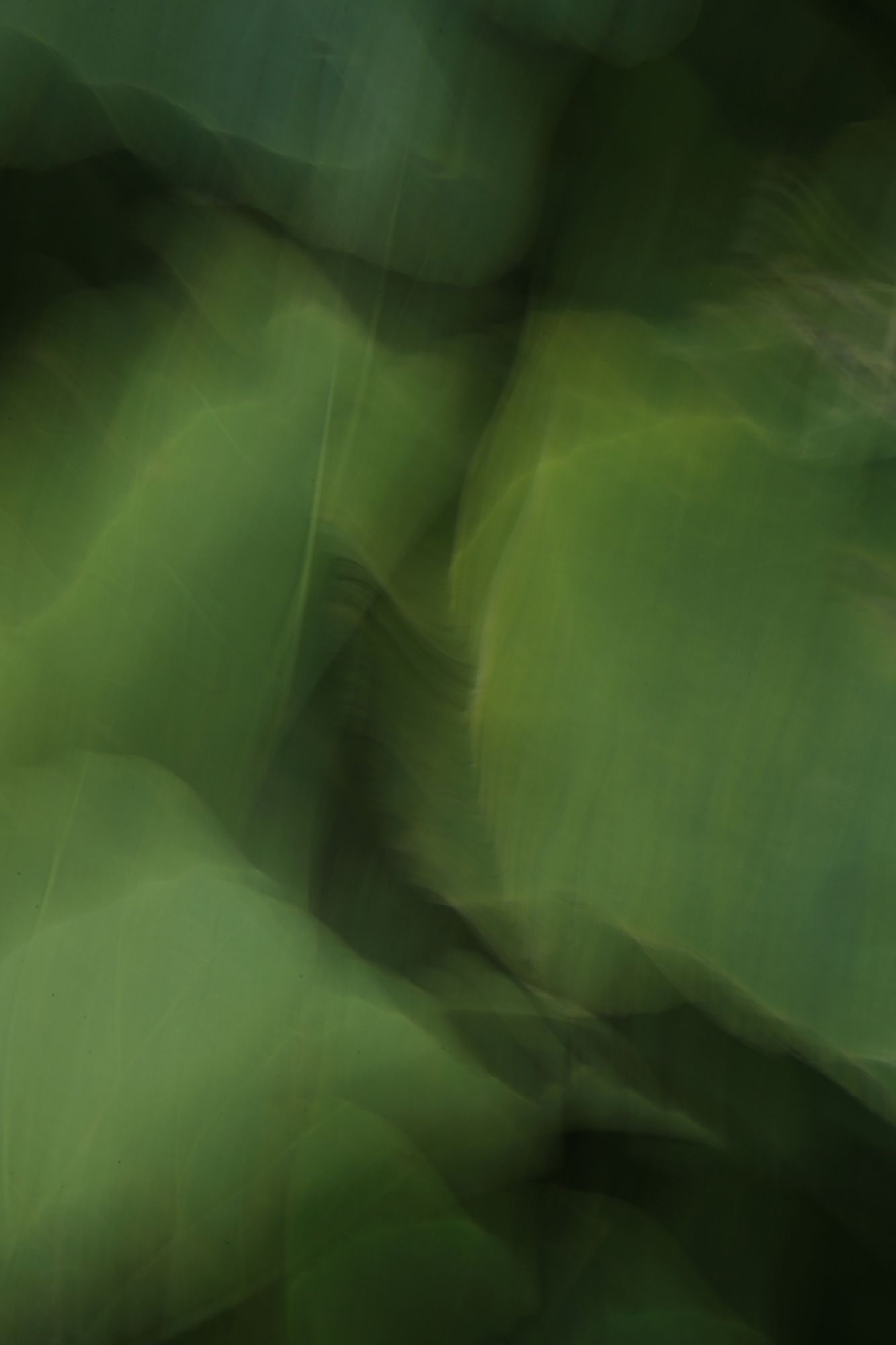 Татьяна Сенчило (Фотография - 
                  70 x 100 см) Из серии "Исчезнуть, замолчать, услышать"