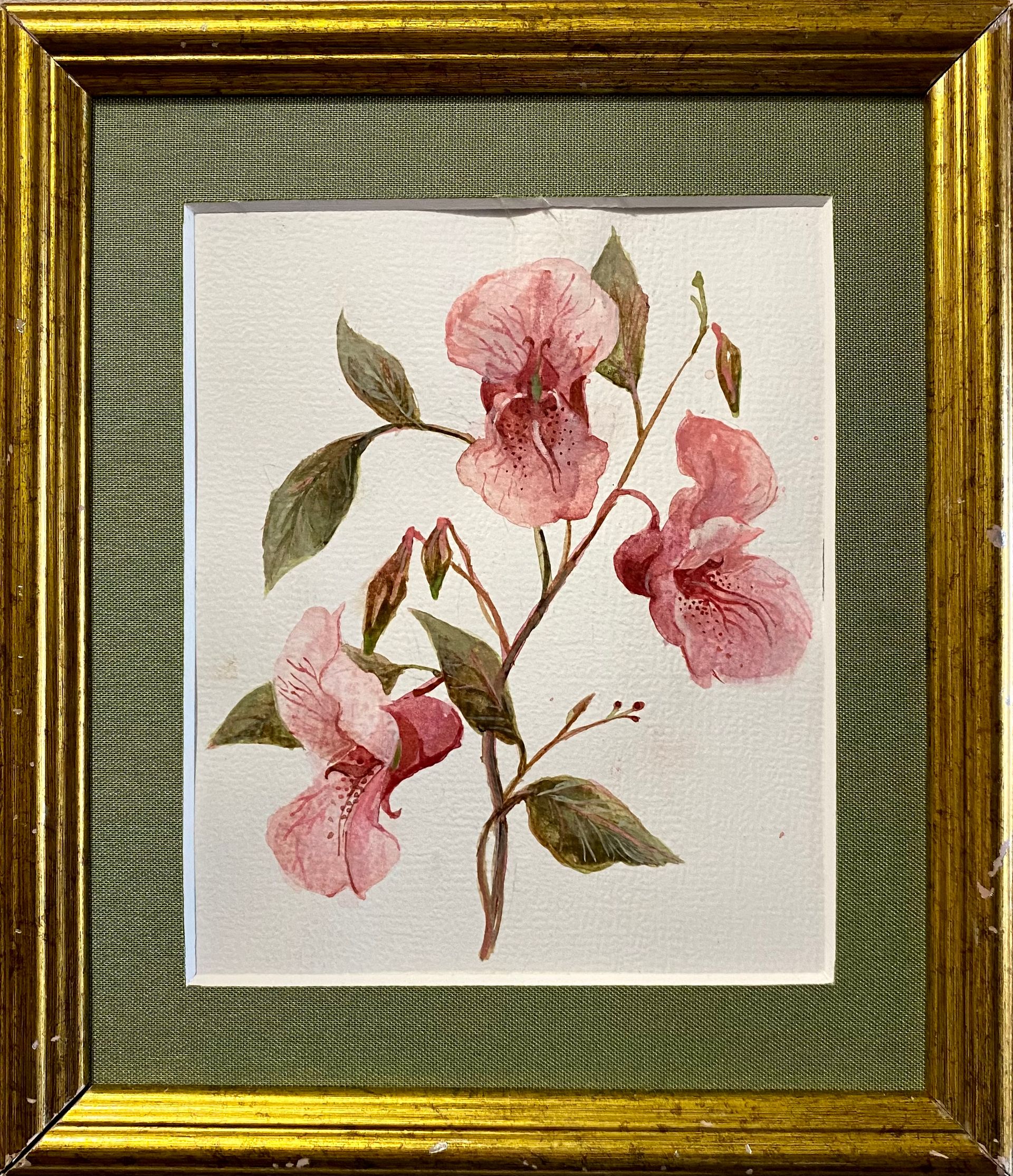 Алина Буглеева (Авторская графика - 
                  19.5 x 22 см) Недотрога