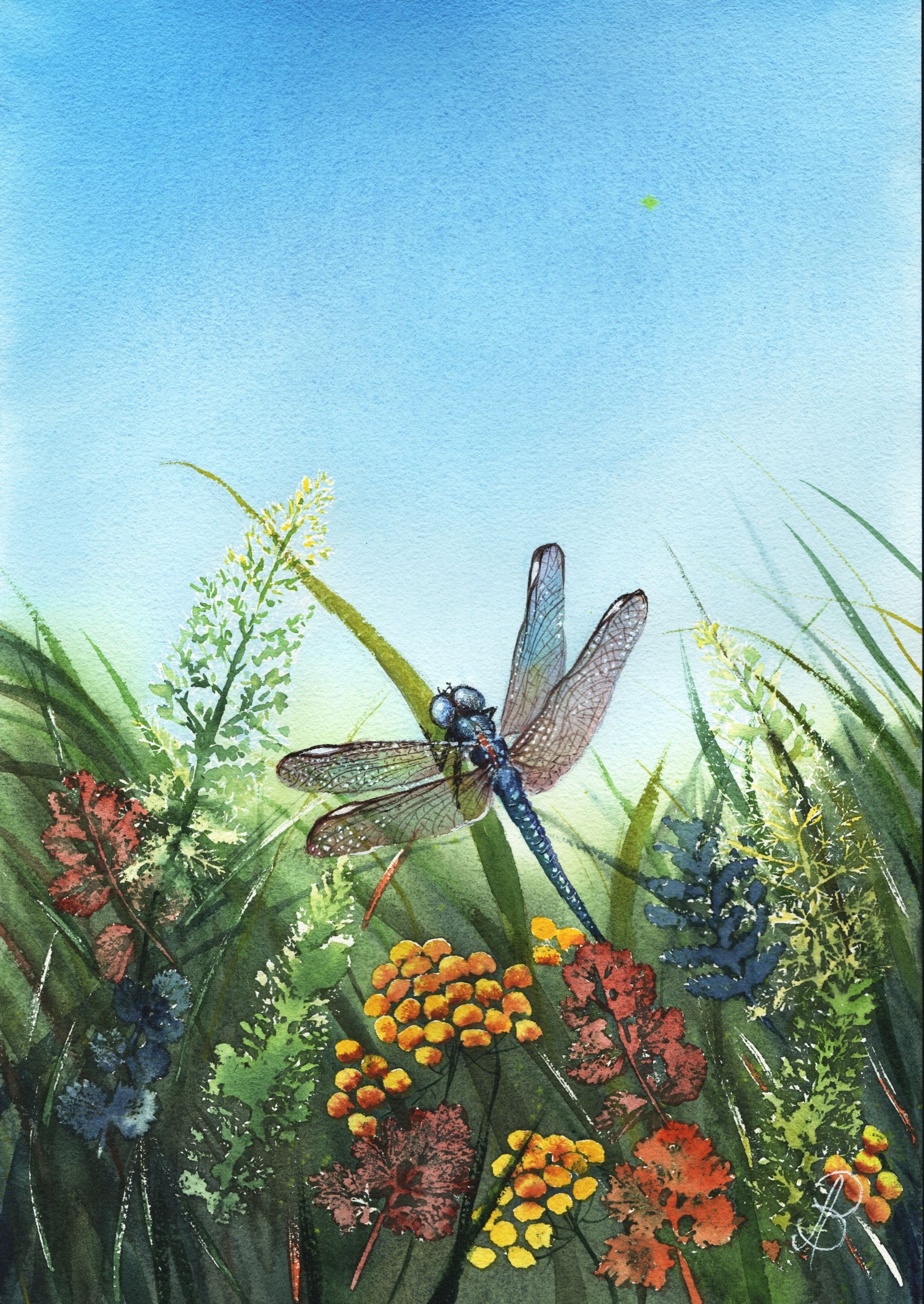 Алла Валежина (Авторская графика - 
                  30 x 42 см) Дыхание луга. Стрекоза