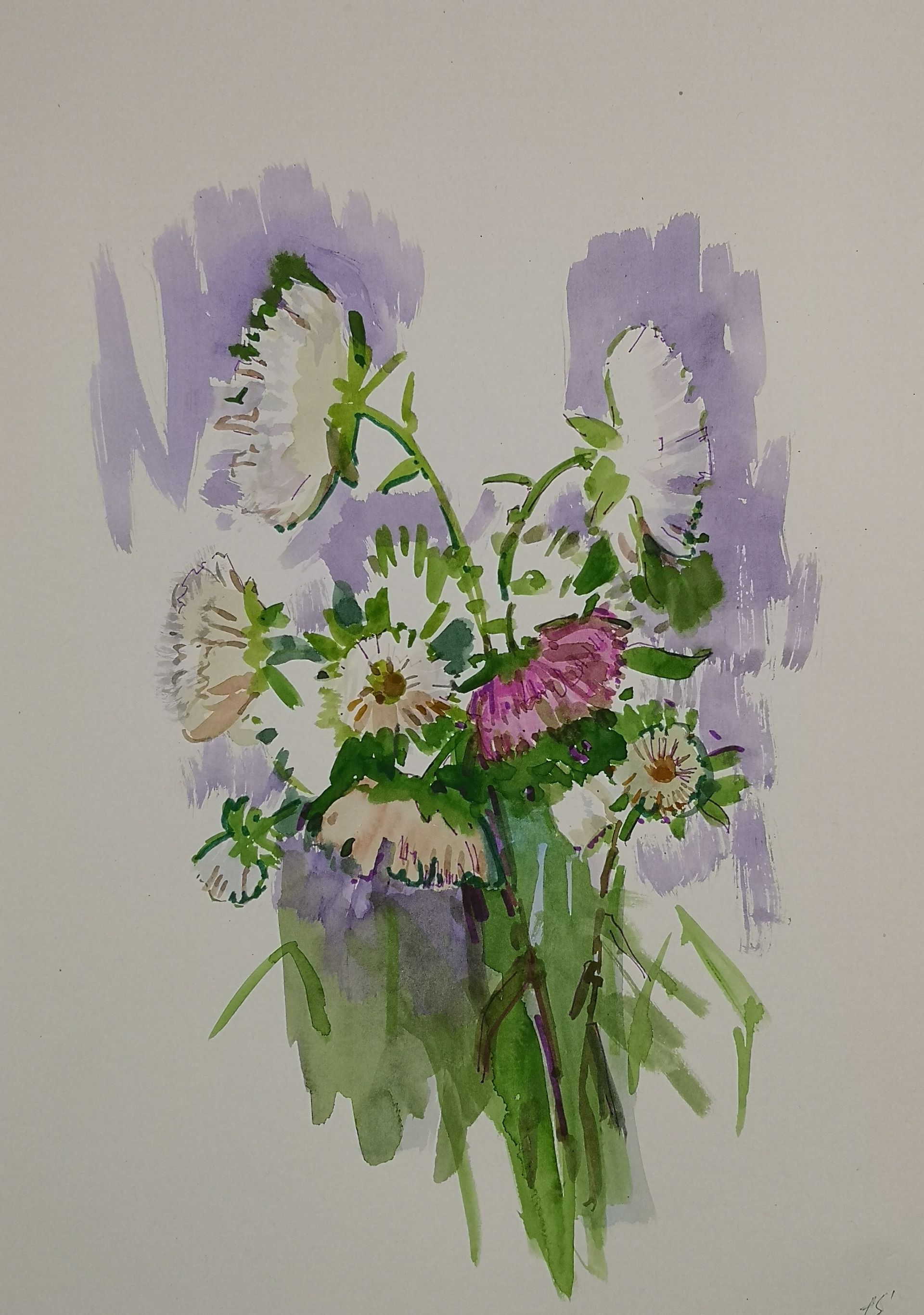 Елена Санина (Авторская графика - 
                  30 x 42 см) Астры #2