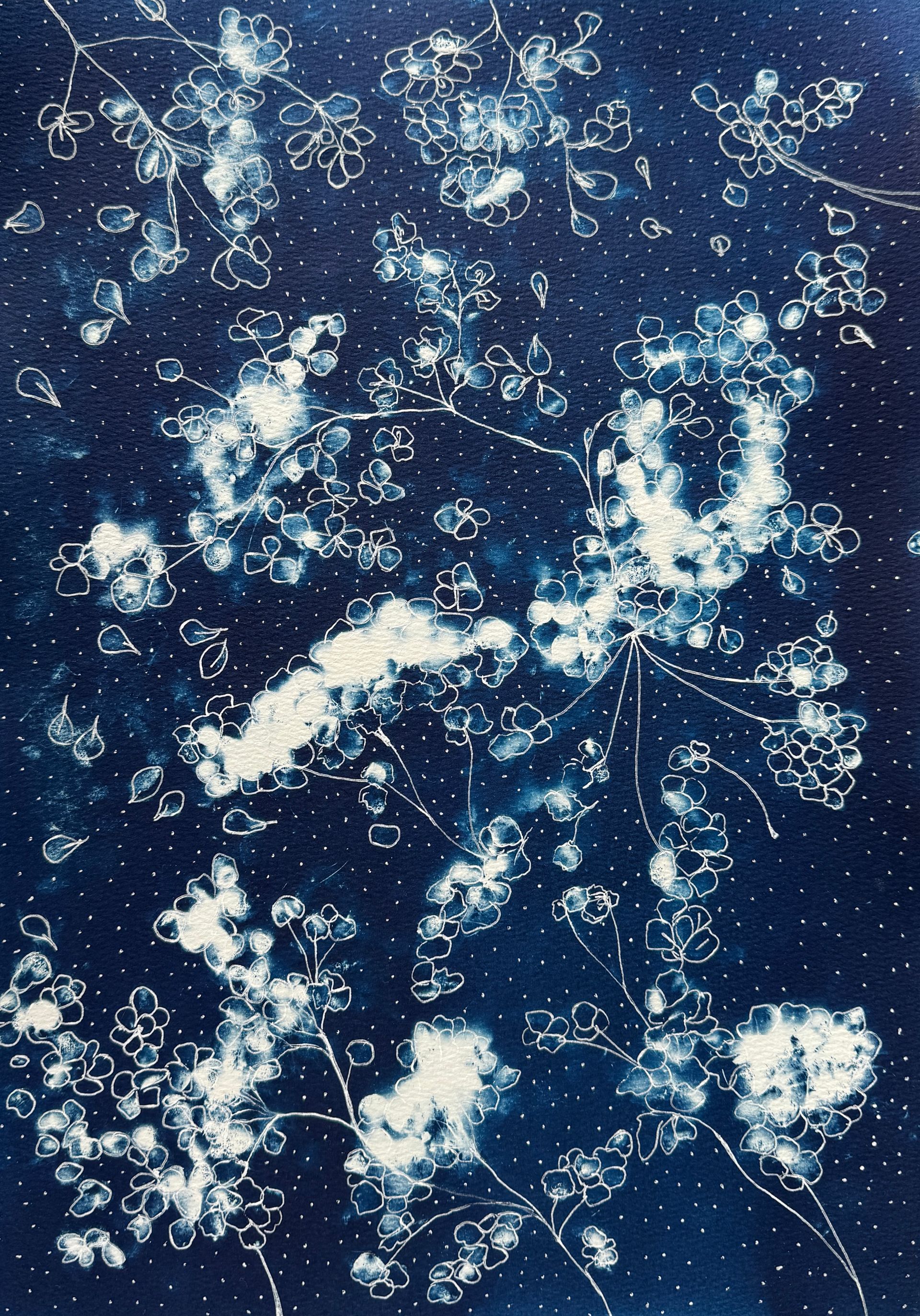 Ольга Ширяева (Авторская графика - 
                  27 x 39 см) Созвездия гортензии